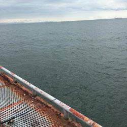 休みが出来たのでエギング 1人釣行